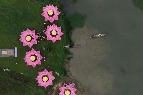 Hạ thủy 7 hoa sen trên sông Hương kính mừng Đại lễ Phật đản Phật lịch 2569