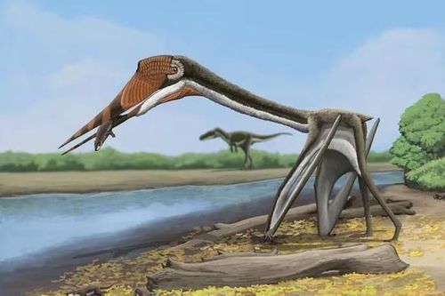 Phát hiện 'rồng địa ngục' chưa từng biết đến, chuyên gia giải mã sao?