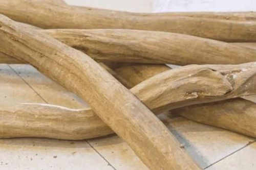 Loài gỗ 'huyền thoại' ở Việt Nam, giới thượng lưu ráo riết lùng