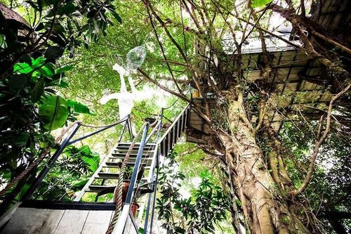 Khám phá ngôi nhà trên cây 'không giống ai' ở Hà Nội