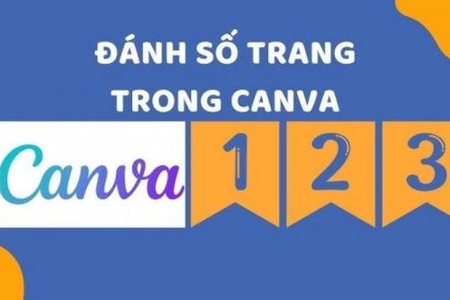 Đánh số trang trên Canva với vài thao tác đơn giản