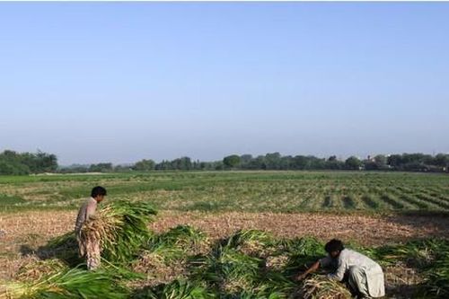Người Pakistan hoảng sợ vì đòn trả đũa của Ấn Độ