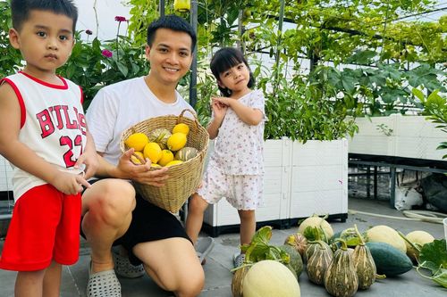 Giám đốc ở TPHCM làm vườn sân thượng sum sê, trồng loại quả 'ngọt hơn đường'