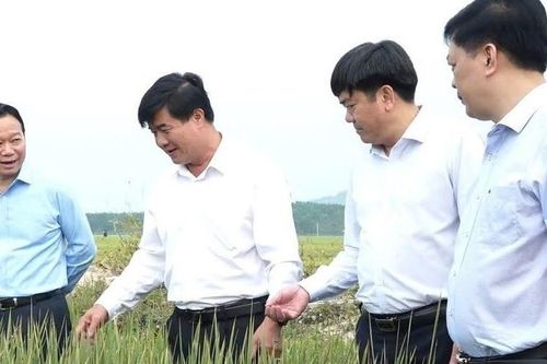 Đắk Lắk đề nghị Thủ tướng giao quyền Chủ tịch tỉnh cho ông Nguyễn Thiên Văn