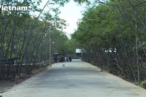Chiến khu Rừng Sác - một trang sử hiển hách không bao giờ khép lại