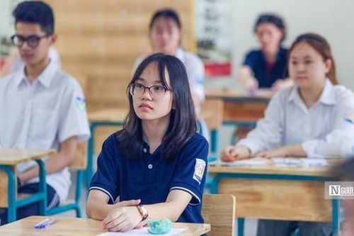 Chọn ngành Ngôn ngữ: Thành thạo ngoại ngữ chỉ là bước khởi đầu