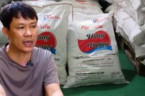 Vụ hàng trăm tấn bột nêm, mỳ chính giả: Tạm giữ khẩn cấp giám đốc Công ty Famimoto Việt Nam