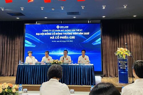 Chủ tịch Cen Land: Cổ phiếu còn dưới 'mặt đất', tăng vốn làm gì cho mang tiếng