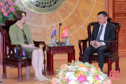Phó Chủ tịch Thường trực UBND tỉnh làm việc với Đại sứ quán Australia tại Việt Nam