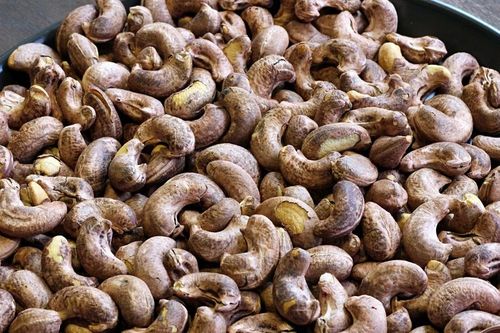 Giá hạt điều xuất khẩu tăng 28%