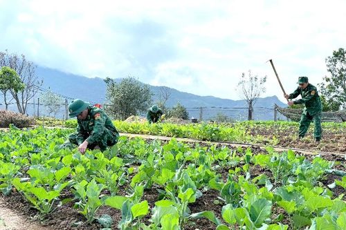 Tăng gia sản xuất, nâng cao đời sống cho bộ đội