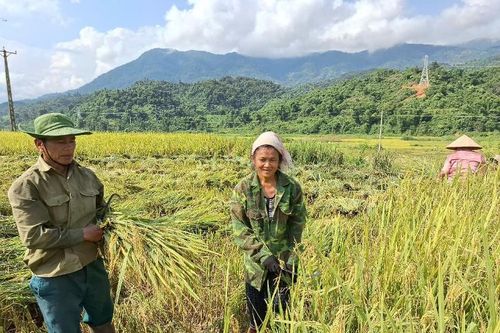 Nậm Hàng hoàn thành các chỉ tiêu Nghị quyết Đại hội Đảng bộ