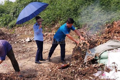 Tiêu hủy 300 kg quả táo đỏ khô kẹp sữa hạt điều không rõ nguồn gốc, xuất xứ