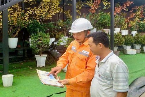 PC Quảng Ninh: Triển khai đồng bộ giải pháp bảo vệ hành lang an toàn lưới điện cao áp