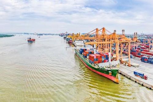 Lợi nhuận doanh nghiệp kinh doanh cảng biển: Có sự phân hóa