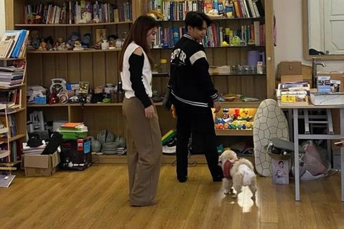 Người trẻ sẵn sàng đổi nhà vì thú cưng