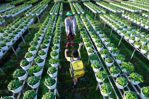 PVCFC ra mắt báo cáo phát triển bền vững 2024: Bước tiến đột phá trong chuẩn mực quốc tế và mục tiêu Net Zero