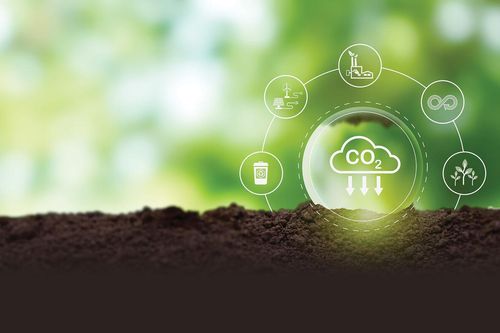 Tín chỉ carbon và bước tiến tới trung hòa khí thải