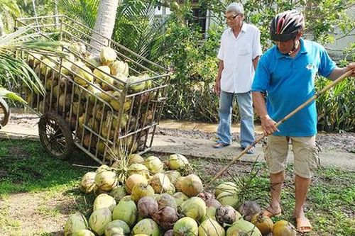 'Đòn bẩy' thoát nghèo tại tỉnh Bến Tre