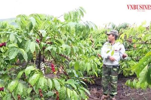 Hành trình chuyển mình từ nông nghiệp của người dân tộc thiểu số ở vùng biên Đăk Glei