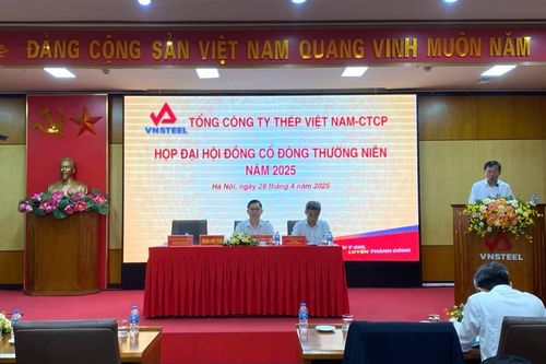 Tổng giám đốc VNSteel: 'Tình hình càng khó càng phải chiến đấu'