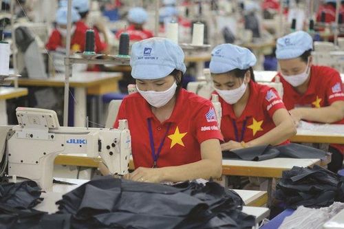 Tham gia thị trường lao động: Chủ động và linh hoạt