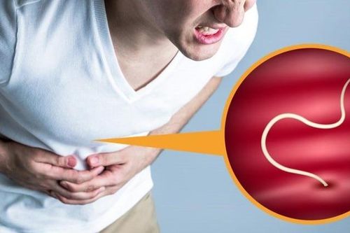 Bệnh giun tóc: Nguyên nhân, biểu hiện, cách điều trị và phòng bệnh