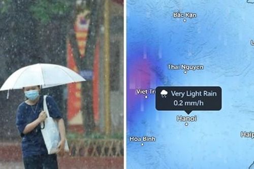 Miền Bắc thay đổi thời tiết: Gió Đông Bắc tăng cường, Hà Nội có thể mưa cả ngày