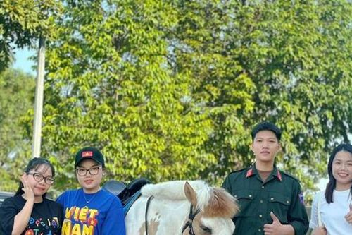Nhân tố đáng yêu trong đội hình diễu binh: Chú ngựa 'Út Ngáo' ai thấy cũng cưng