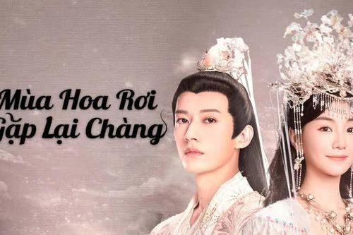 Nội dung, lịch chiếu phim Mùa hoa rơi gặp lại chàng
