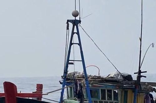 Quảng Trị: Bắt giữ hai tàu cá đánh bắt thủy sản trái phép