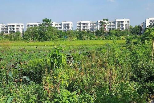 Vĩnh Phúc thu hồi gần 1,1ha đất của 14 hộ để làm dự án đô thị