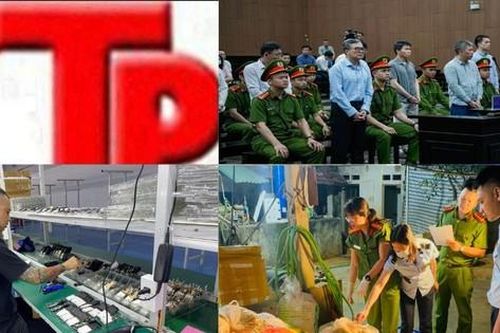 Bản tin Hình sự: Cha bị khởi tố vì giao xe cho con chưa đủ điều kiện điều khiển