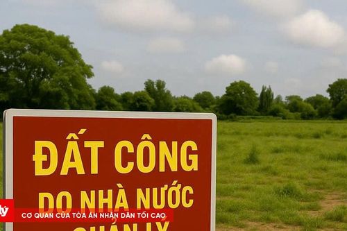 Biến đất công thành đất tư, 17 người bị truy tố