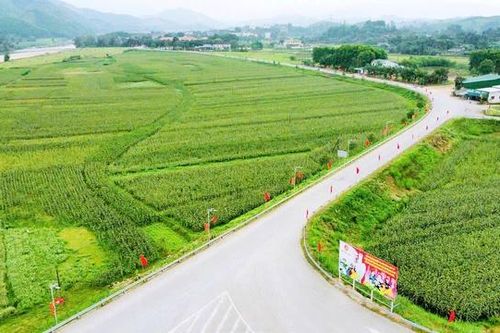Hà Tĩnh sẽ có bao nhiêu đơn vị cấp xã không sáp nhập?