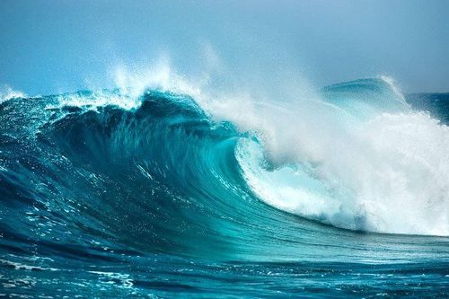 Người ta dùng muối nấu ăn nhưng tại sao không dùng nước biển để ăn, uống?