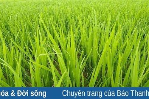 Cuộc sống này thực sự đáng giá...