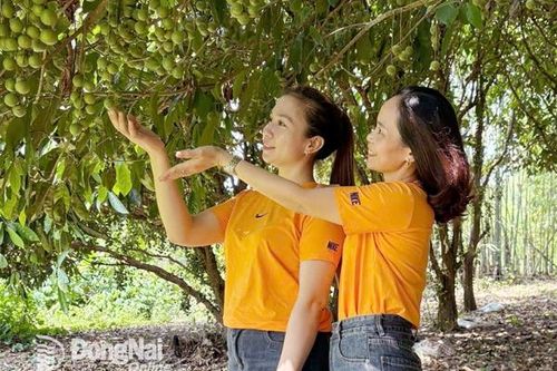Phát triển du lịch sinh thái vườn