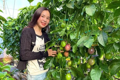 'Vé thông hành' cho mặt hàng chanh dây