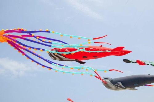 Hấp dẫn mùa du lịch biển 2025