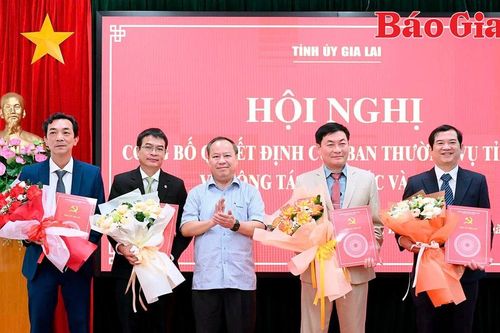 Báo Gia Lai sau hợp nhất khẩn trương kiện toàn, sắp xếp bộ máy