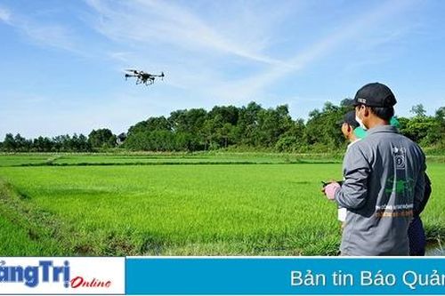 Cần có chính sách hỗ trợ nhân rộng các mô hình tích tụ ruộng đất