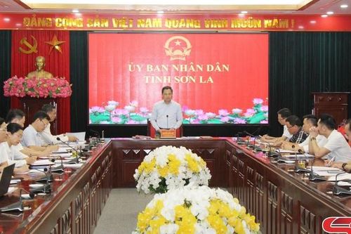 Chủ tịch UBND tỉnh làm việc với Công ty TNHH Nông nghiệp Tô Hiệu