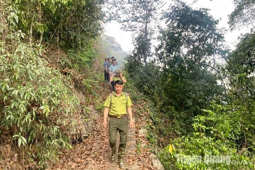 Hàm Yên dựa vào dân để giữ rừng