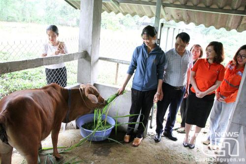 Núi Pháo tạo sinh kế bền vững cho đồng bào dân tộc thiểu số