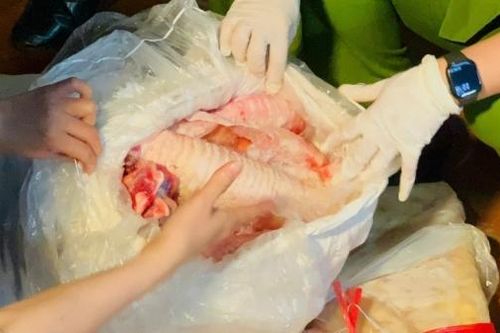 Khám xét 3 kho lạnh, thu giữ hơn 10 tấn nội tạng trâu, bò bẩn