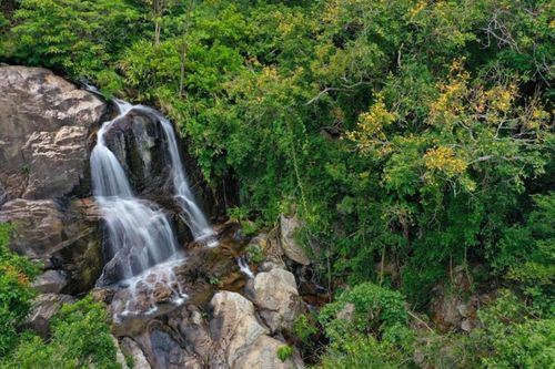Ninh Thuận thông qua nghị quyết chuyển đổi hơn 14ha rừng để làm du lịch