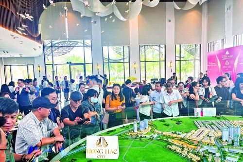 Chậm cấp chứng chỉ môi giới bất động sản: Hệ lụy và giải pháp