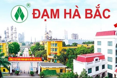 Phân đạm Hà Bắc (DHB): Lãi ròng quý 1 giảm 59% dù lợi nhuận gộp gấp gần 6 lần