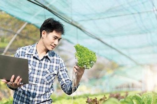 Để trở thành hình mẫu về nông nghiệp hiện đại